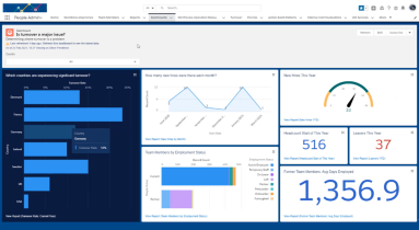 Screenshot: Sage People turnover dashboard