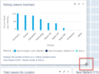 Screenshot: resizing your dashboard reports