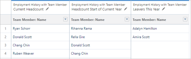 Screenshot: example joined report showing team members