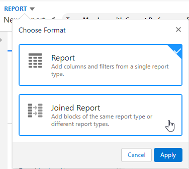 Screenshot: Choose report format