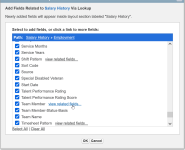 Screenshot showing dialog for add fields related to salary history via lookup, with view related fields selected for team member