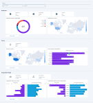 Screenshot: C Suite dashboards