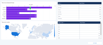 Screenshot: Details for the tenure dashboard in the C Suite dashboards