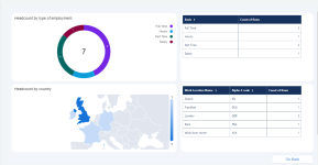 Screenshot: Details for a team lead headcount dashboard