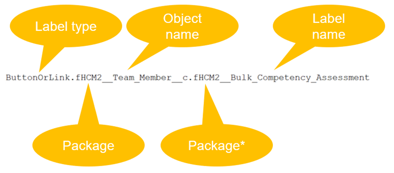 Annotated screenshot pointing out different parts of a label associated with a custom object