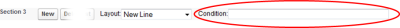 Screenshot: Condition field for a section annotated