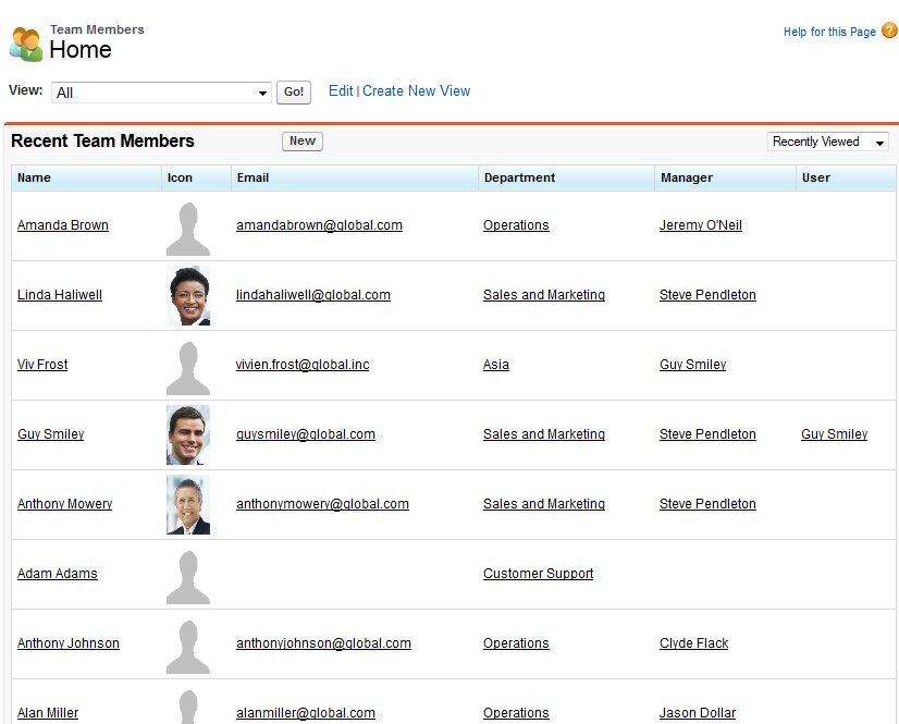 Screenshot: Team Members home page in Salesforce Classic interface