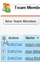 Screenshot: Action checkboxes in a Team Member view in Salesforce Classic interface