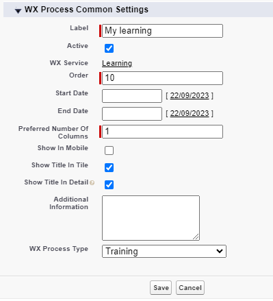 Screenshot: creating a WX process for Training