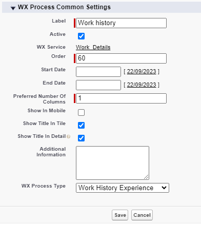 Screenshot: creating a WX process for Work History Experience