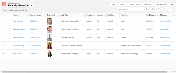 Screenshot: Team Members home page in Salesforce Lightning Experience