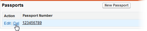 Screenshot: Selecting Delete next to a passport record