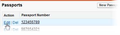 Screenshot: Selecting Edit next to a passport record