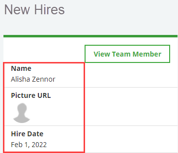 Screenshot: Fields in the WX Summary New Hires Field Set