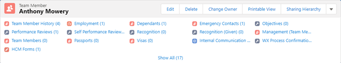 Screenshot: Related List lists on top of a Team Member record in Salesforce Lightning Experience