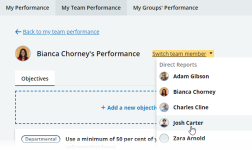 Screenshot: Team Member switcher on a Team Member's Performance page