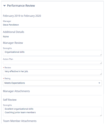 Screenshot: Performance Review expanded on a Team Member's Performance Overview