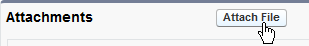 Screenshot: Attach File button
