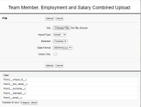 Screenshot: File details for an uploaded file