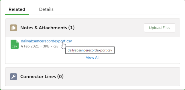 Screenshot: File link on the Notes & Attachments Related List for a Payflow Batch