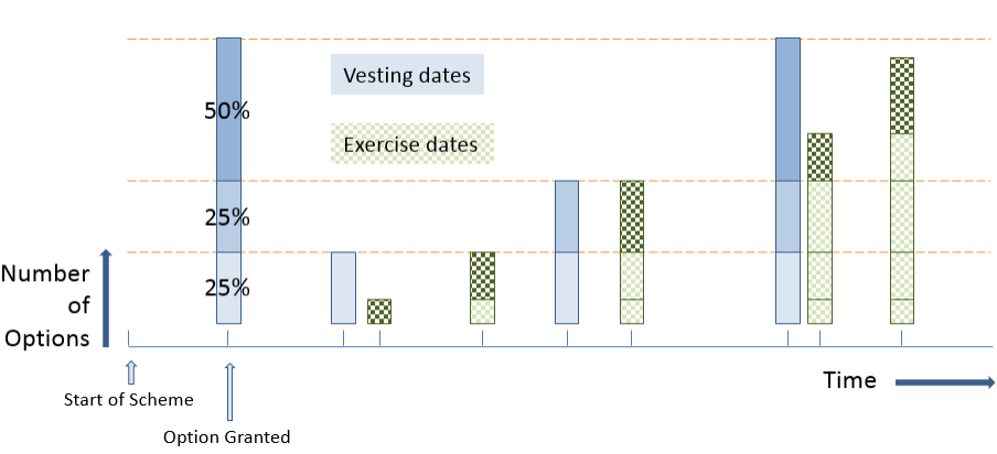 Illustration: Stock option vesting example