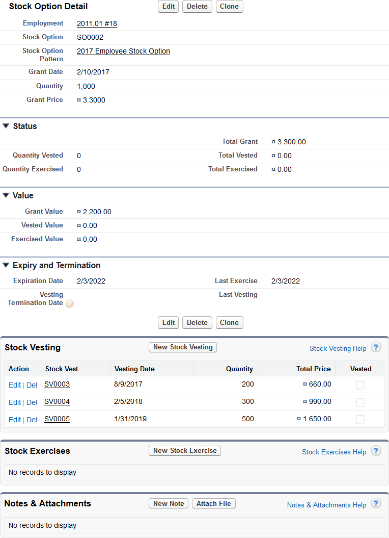 Screenshot: Stock Option Detail page with the newly granted stock option