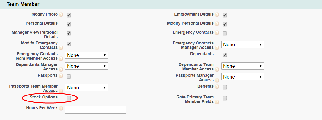 Screenshot: Policy options in the Team Member section, with the Stock Options option highlighted