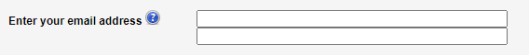 Screenshot: dual entry required for an email text field