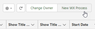 Screenshot: New WX Process button