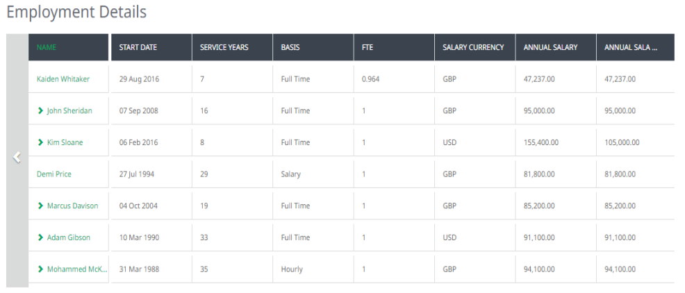 Screenshot: Employment details process for a team