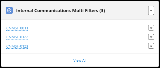 Screenshot: multi-filters related list