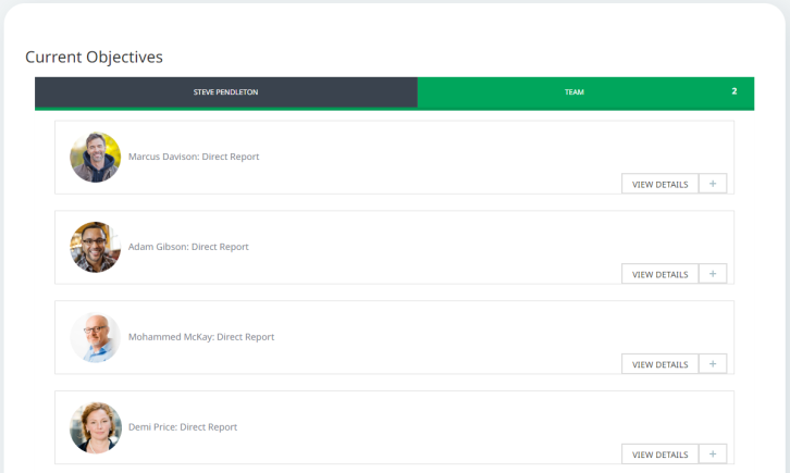 Screenshot: Team tab in the Objectives Team view