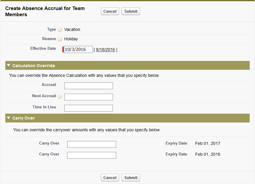 Screenshot: Multi Carry Over section on Create Absence Accrual for Team Members page