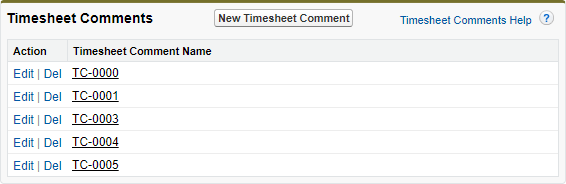 Screenshot: Timesheet Comments related list