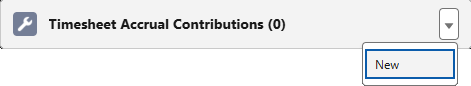 Screenshot: Timesheet Accrual Contributions related list, selecting New