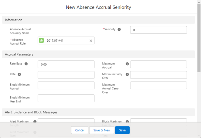 Screenshot: New Absence Accrual Seniority page