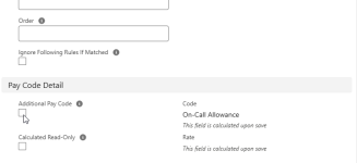 Screenshot: Additional pay code field