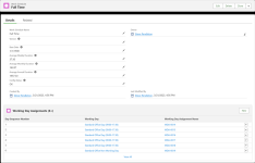 Screenshot: Details page for a work schedule also displaying the Working Day Assignment related list