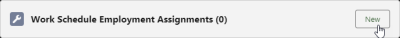 Screenshot: Selecting New from the Work Schedule Employment Assignments related list