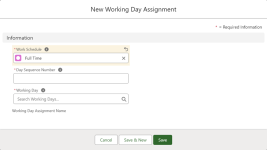 Screenshot: New Working Day Assignment screen