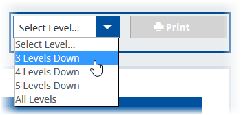 Org chart level selector before printing