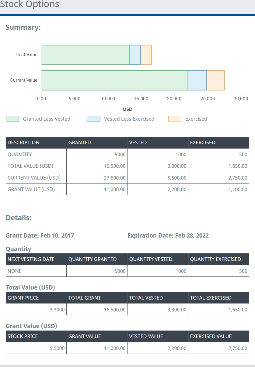 Screenshot: Stock Options details view