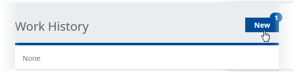 Screenshot: Selecting New to add a Work History entry