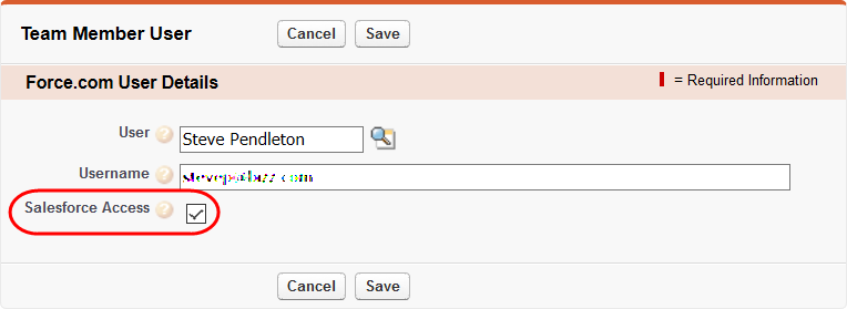 Screenshot: Team Member User Details page, highlighting the Salesforce Access checkbox