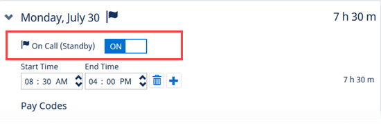 Screenshot: A selected Additional Pay Code with the "On Call" prefix highlighted on a timesheet