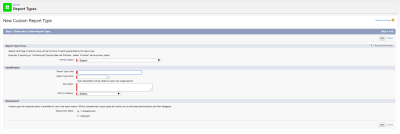 Screenshot: Step 1. Define the custom report type screen