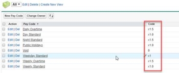 Screenshot: A list view of pay codes with non-unique values in the Code field