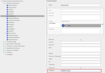 Screenshot: Gender input validation example