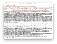 Screenshot: An example of a certificate displayed in a plain text editor
