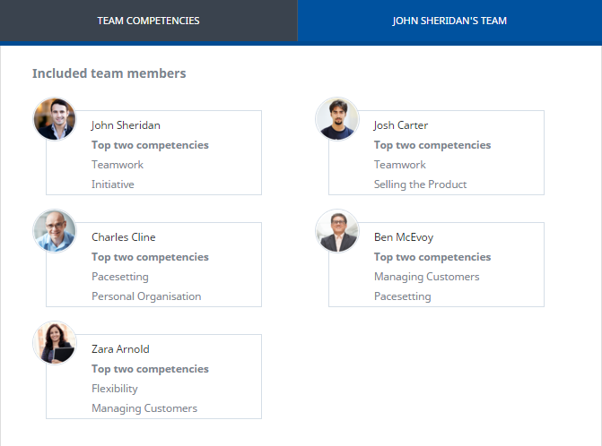 Screenshot: Team tab for team competencies